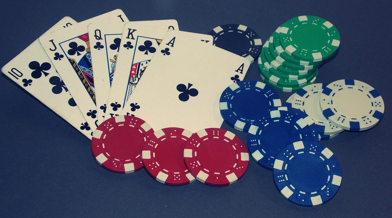 homibet88